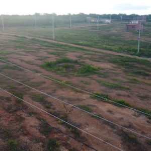 DJI_0304